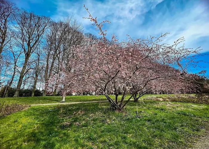 ホテル Doko ガルデレーゲン